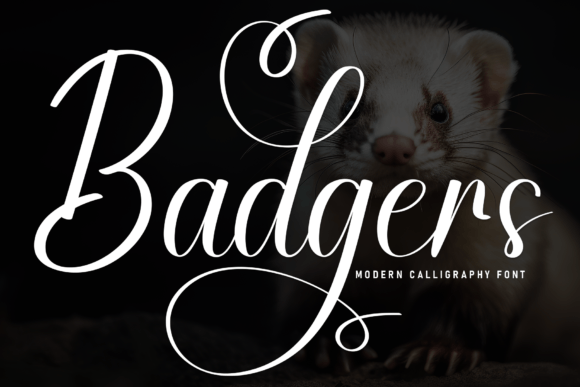 Exploring the Badgers Font: A Flowing Handwritten Typeface for Creative Projects